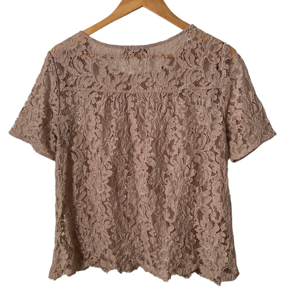 Ann Taylor LOFT | Short Sleeved See-Through Floral Lace Blouse M - Picture 2 of 7